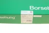 Натяжная планка цепи ГРМ Borsehung B1G041 (фото 5)