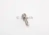 Розпилювач дизель BOSCH 0433171575 (фото 1)