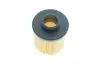Фильтр AdBlue (мочевины) DAF 75CF/CF65/CF75/CF85/LF45/LF55/XF/XF105 4.5-12.9d 01- BOSCH 1 457 436 042 (фото 5)