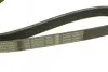 Ремень поликлиновый 6PK1030 BOSCH 1 987 946 051 (фото 4)