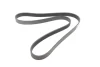 Ремень поликлиновый BOSCH 1 987 947 560 (фото 5)
