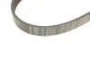 Ремінь поліклиновий BOSCH 1 987 947 566 (фото 5)