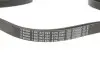Ремень поликлиновый 6PK2080 BOSCH 1 987 947 824 (фото 3)
