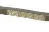Ремень поликлиновый 6PK1555 BOSCH 1 987 947 949 (фото 4)