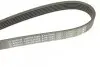 Ремень поликлиновый 6PK1685 BOSCH 1 987 947 986 (фото 5)