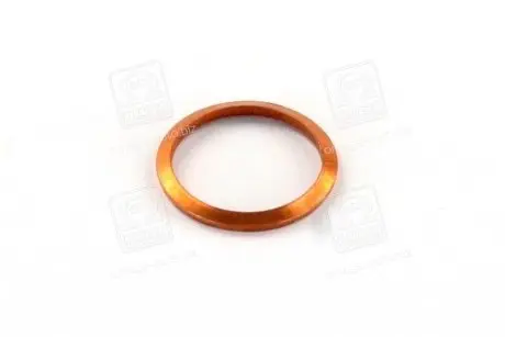 Уплотняющее кольцо BOSCH 2430105045