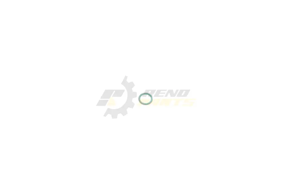 Ущільнююче кільце BOSCH 2 440 210 010 (фото 1)