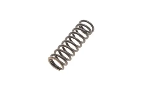 Пружина ТНВД BOSCH 2444617011