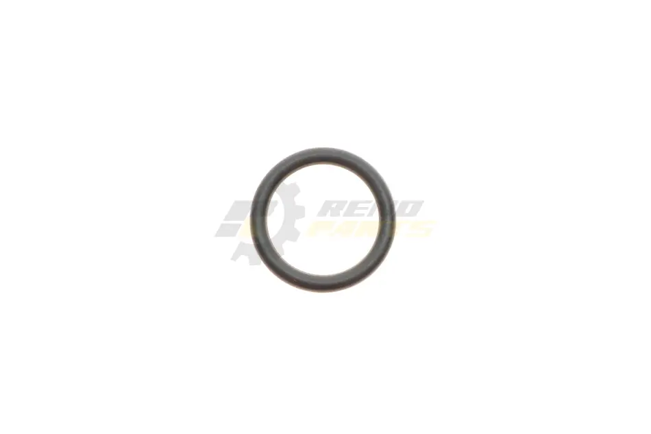 Ущільнююче кільце BOSCH F 00R J01 605 (фото 1)