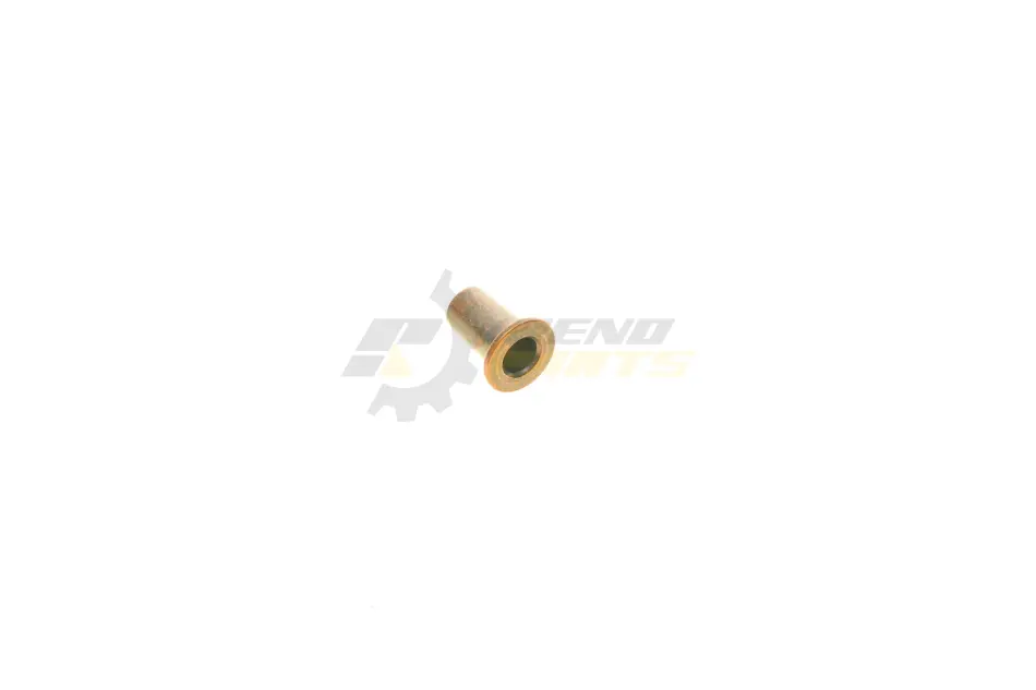 Термозахисна гільза BOSCH F 00Z W00 003 (фото 1)