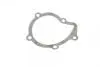 Помпа системи охолодження Citroen Xantia/Xsara/Peugeot 306/406 1.8i 16V 95-03 (20z) (B/B) (6 лоп) BUGATTI PA5505 (фото 9)