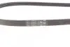 Ремень поликлиновый Contitech 4PK1102ELAST (фото 3)