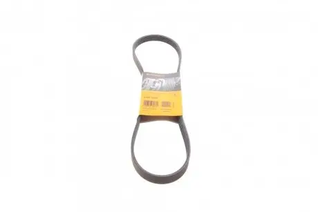 Ремень поликлиновый Contitech 5PK1025