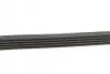 Комплект пасу поліклинового Renault Clio/Megane/S Contitech 5PK1135K2 (фото 2)