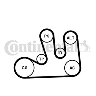 Комплект (ремень+ролики+насос) Contitech 5PK1750WP1 (фото 1)