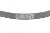 Ремень поликлиновый Contitech 5PK868 ELAST (фото 3)