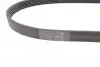 Ремень поликлиновый Contitech 6PK1059 ELAST (фото 2)
