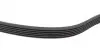 Комплект пасу поліклинового Audi A2/Seat Ibiza/Sk Contitech 6PK1080K1 (фото 4)