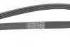 Ремень поликлиновый Contitech 6PK1600 (фото 3)