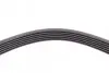 Ремень клиновой Renault Megane I/Ford Transit 2.0 94-00 Contitech 6PK1653 (фото 4)