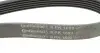 Комплект паса поликлинового с насосом VW Caddy III Contitech 6PK1693WP1 (фото 4)