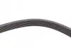 Ремень клиновой Jeep Wrangler 4.0 91-96/Volvo S90/V90 2.9 97-98 Contitech 6PK1755 (фото 4)