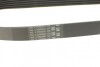 Ремінь поліклиновий Contitech 6PK691ELAST (фото 3)