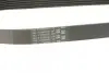Ремінь поліклиновий Contitech 6PK691ELAST (фото 3)