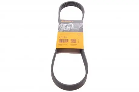 Ремень поликлиновый Contitech 6PK884
