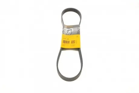 Ремень поликлиновый Contitech 6PK915