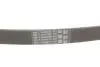 Ремень поликлиновый Contitech 6PK922EXTRA (фото 4)
