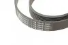 Ремень поликлиновый BMW 3(E90) 335i 06-11 Contitech 7PK1855 (фото 3)