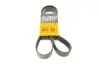 Ремень поликлиновый Contitech 8PK1310 EXTRA (фото 1)