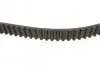 Ремень зубчатый (дл. 60-150) Contitech CT899 (фото 2)