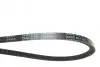 Ремень генератора клиновый DAYCO 10A0800C (фото 2)