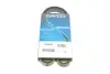 Ремень поликлиновый DAYCO 4PK922EE (фото 1)