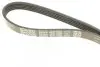 Ремень поликлиновый DAYCO 5PK1000 (фото 4)