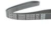 Ремень поликлиновый DAYCO 5PK1072S (фото 4)