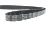 Ремень поликлиновый DAYCO 5PK1084 (фото 4)