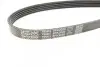 Ремень поликлиновый DAYCO 5PK2020 (фото 3)