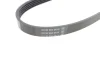 Ремень поликлиновый DAYCO 5PK875 (фото 3)