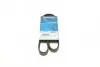 Ремень поликлиновый DAYCO 6PK1013 (фото 1)