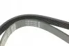 Ремень поликлиновый DAYCO 6PK1013 (фото 3)