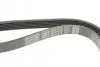 Ремень поликлиновый DAYCO 6PK1013 (фото 4)