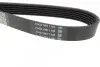 Ремень поликлиновый DAYCO 6PK1035 (фото 2)