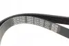 Ремень поликлиновый DAYCO 6PK1035 (фото 3)