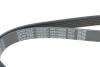 Ремень поликлиновый DAYCO 6PK1090EE (фото 4)