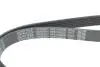 Ремінь поліклиновий DAYCO 6PK1090EE (фото 4)