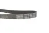Ремень генератора поликлиновый DAYCO 6PK1120S (фото 3)