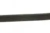 Ремень поликлиновый DAYCO 6PK1152 (фото 2)